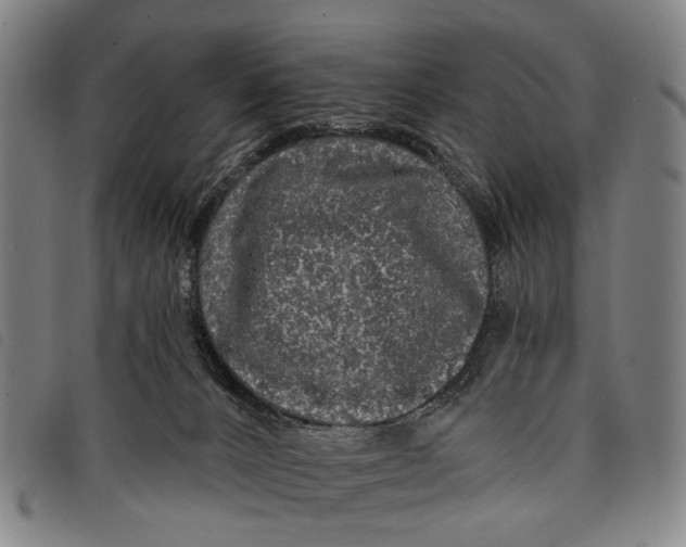 X0000097850032200804041516