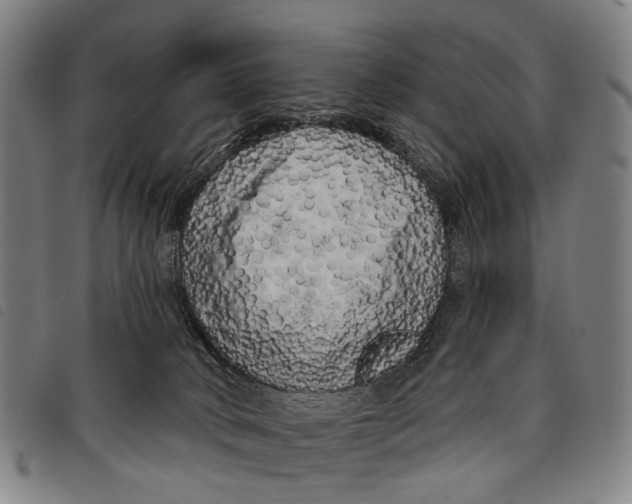 X0000097850034200804041516