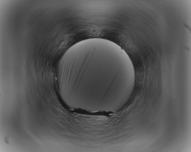 X0000097850035200804041516