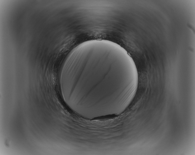 X0000097850039200804041516