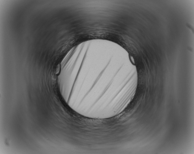 X0000097850040200804041516