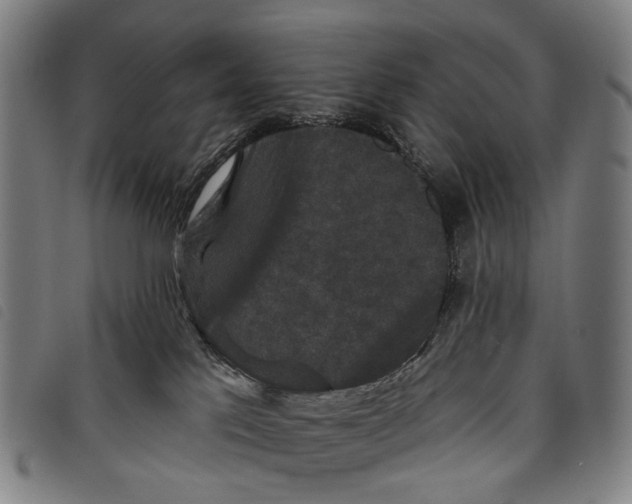 X0000097850041200804041516