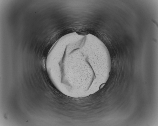 X0000097850042200804041516