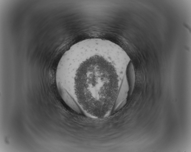 X0000097850043200804041516