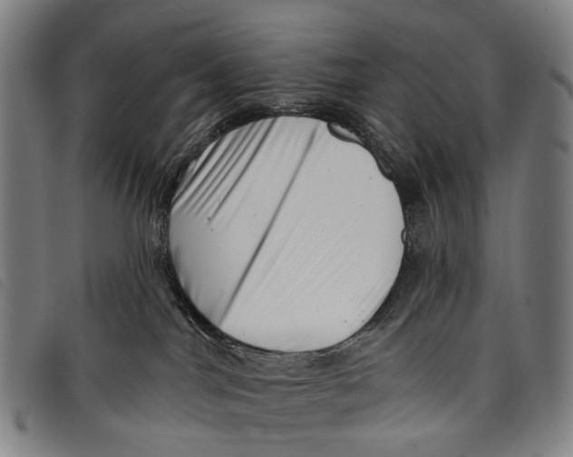 X0000097850044200804041516