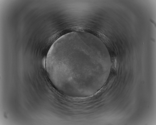 X0000097850047200804041516