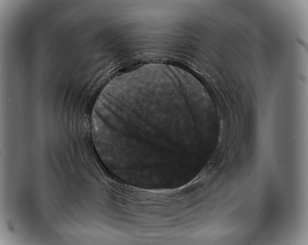 X0000097850048200804041516