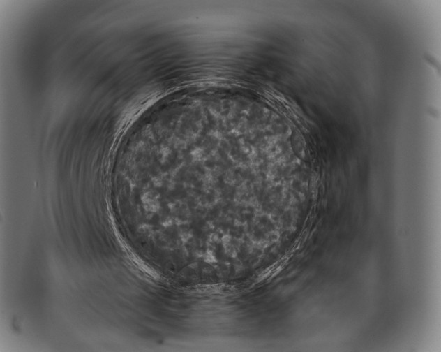 X0000097850049200804041515