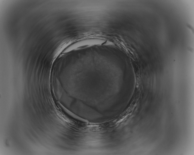 X0000097850052200804041515