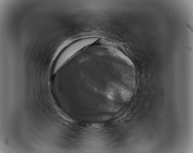 X0000097850056200804041515