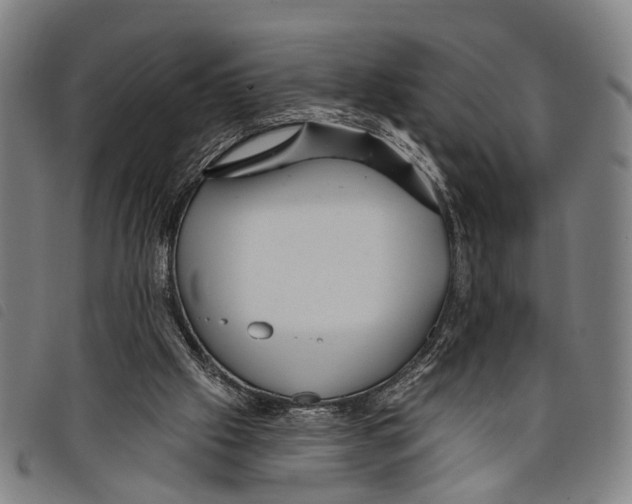 X0000097850057200804041515