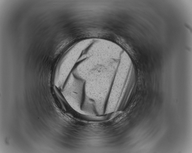 X0000097850058200804041515