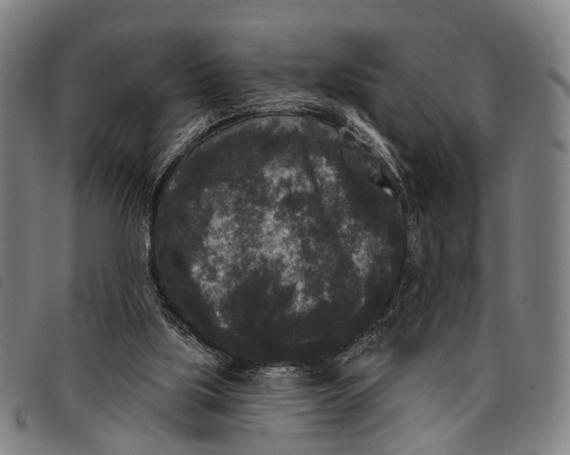 X0000097850059200804041515