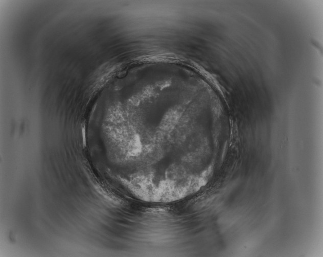 X0000097850061200804041516