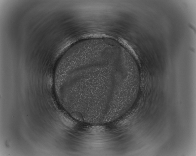 X0000097850063200804041516