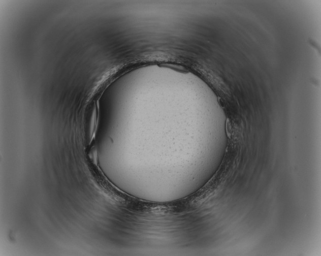 X0000097850064200804041516