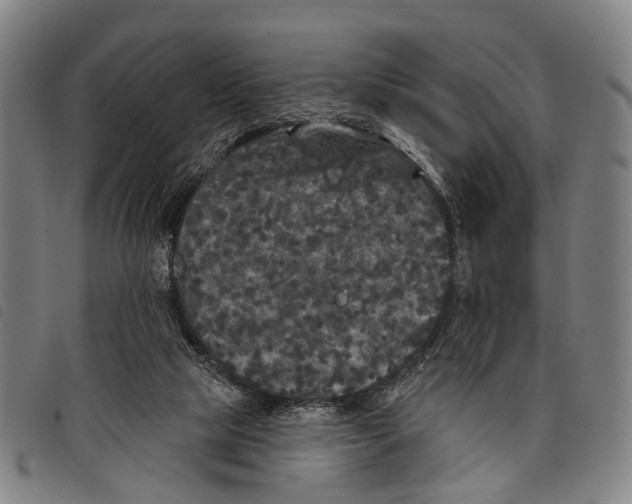 X0000097850065200804041516