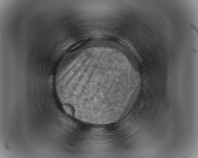 X0000097850066200804041516