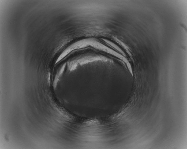 X0000097850067200804041516