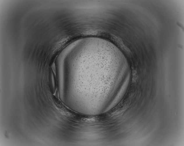 X0000097850068200804041516