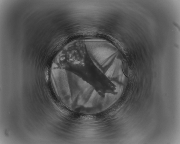 X0000097850069200804041516