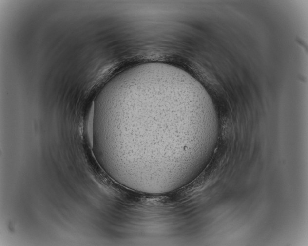 X0000097850072200804041516