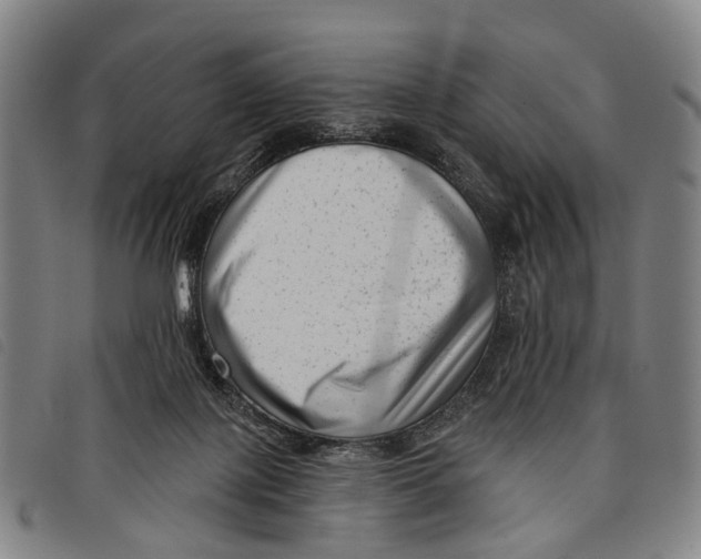 X0000097850075200804041516