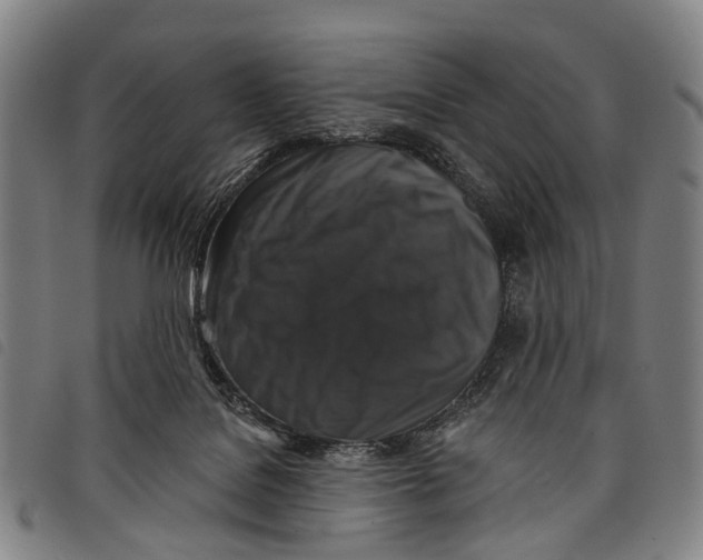 X0000097850076200804041516