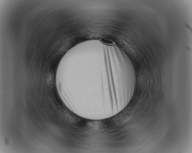 X0000097850079200804041516