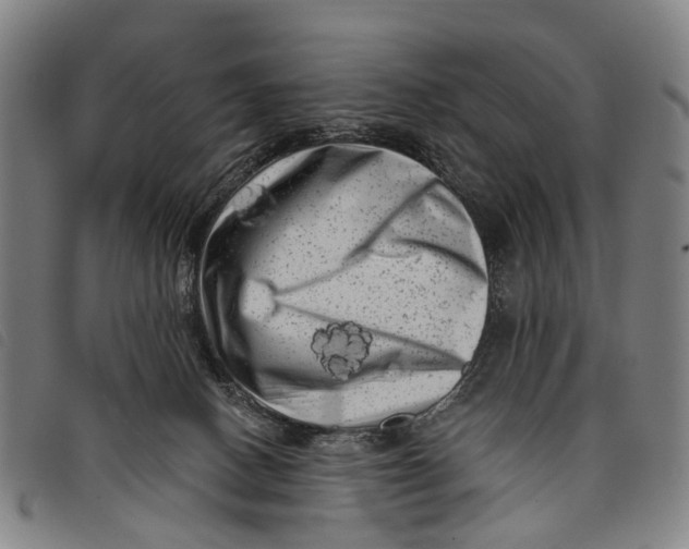 X0000097850082200804041516