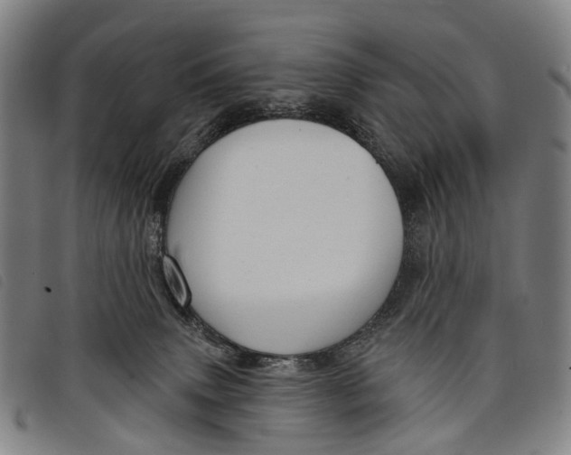 X0000097850083200804041516