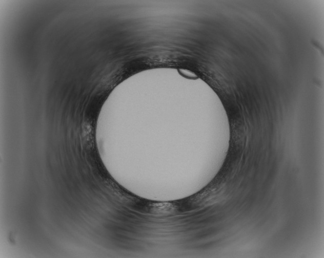 X0000097850087200804041516