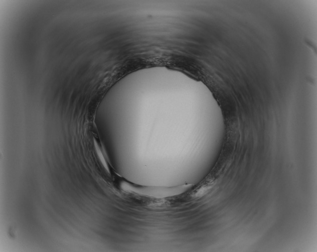 X0000097850088200804041516