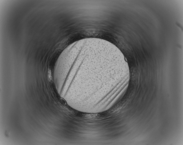 X0000097850089200804041516