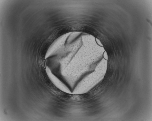 X0000097850091200804041516