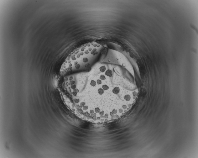 X0000097850095200804041516