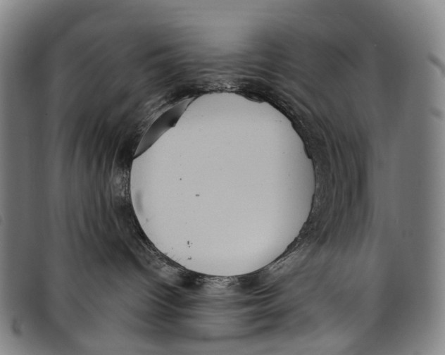 X0000097850096200804041516