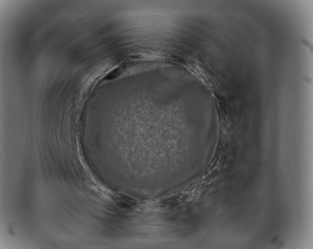 X0000097850097200804041515