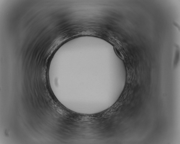 X0000097850098200804041515