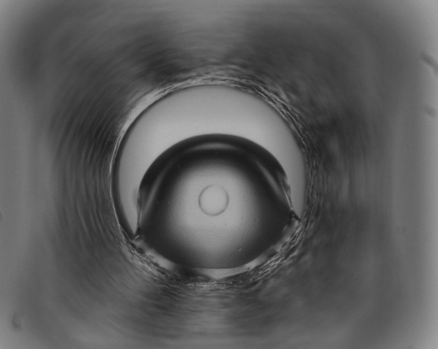 X0000097850100200804041515