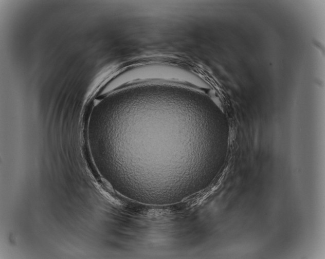 X0000097850101200804041515