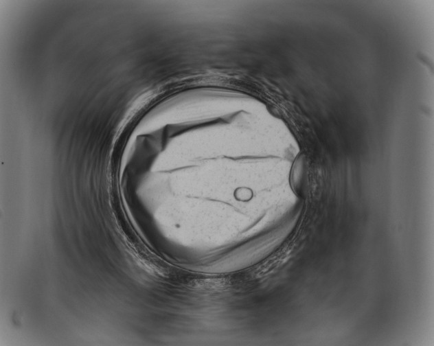 X0000097850102200804041515