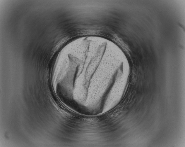 X0000097850107200804041515