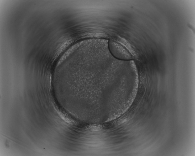 X0000097850110200804041515