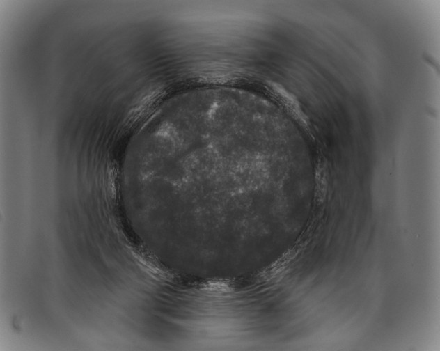 X0000097850114200804041515