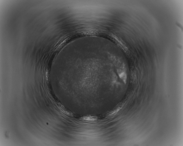 X0000097850117200804041515