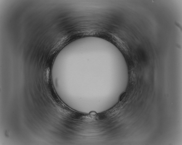 X0000097850118200804041515