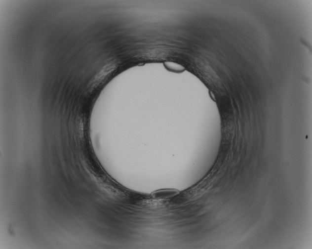 X0000097850120200804041515