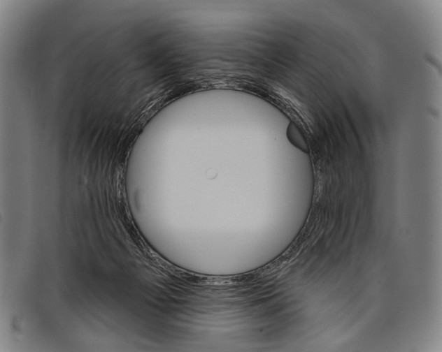 X0000097850121200804041515