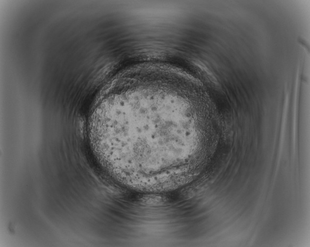 X0000097850123200804041515